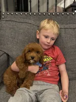 processed/d82e406f-1d66-4dab-8432-f1a05abb15ea/listing/1c6ca9bc-6fba-47bc-8cd5-dfcc8252824e/ec33be87-c051-497a-9bf1-b704777ff45e