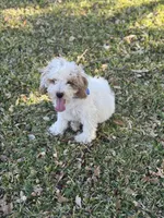 processed/d82e406f-1d66-4dab-8432-f1a05abb15ea/listing/64b3ea78-d205-4a54-9e16-d6e562b8bd5f/0706a2a0-0d55-428d-9039-3d1ac7c2dd77