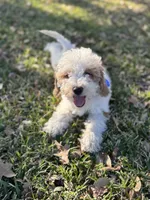 processed/d82e406f-1d66-4dab-8432-f1a05abb15ea/listing/64b3ea78-d205-4a54-9e16-d6e562b8bd5f/20e2c9d6-f945-4ff4-9704-9ba93484e8f6