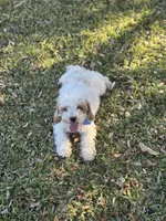 processed/d82e406f-1d66-4dab-8432-f1a05abb15ea/listing/64b3ea78-d205-4a54-9e16-d6e562b8bd5f/a7e22142-2104-4bfa-a1ff-cf1b2174a92e