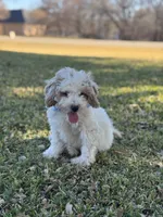 processed/d82e406f-1d66-4dab-8432-f1a05abb15ea/listing/64b3ea78-d205-4a54-9e16-d6e562b8bd5f/ef098fb7-45db-4ba3-9792-969f00cb97d5