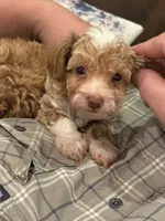 processed/d82ee644-4927-4d5a-b10f-aa60895eba54/listing/f2a6a799-ec7c-45d7-a386-57b4c875ce0f/0bf9be89-ad00-49e5-bddd-742a0c7ba7a7