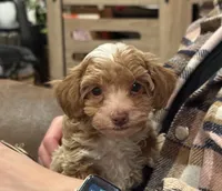 processed/d82ee644-4927-4d5a-b10f-aa60895eba54/listing/f2a6a799-ec7c-45d7-a386-57b4c875ce0f/32a15d67-71bd-4f7e-8436-24178cf84e02