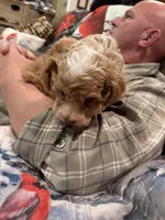 processed/d82ee644-4927-4d5a-b10f-aa60895eba54/listing/f2a6a799-ec7c-45d7-a386-57b4c875ce0f/8a9f3597-4bb0-47cf-88c2-669fb746bcb8