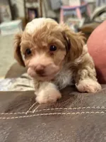 processed/d82ee644-4927-4d5a-b10f-aa60895eba54/listing/f2a6a799-ec7c-45d7-a386-57b4c875ce0f/fcb6a1cb-a3be-49f2-bf9a-f2ceaff11303