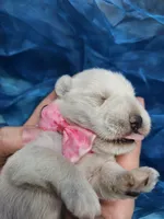 processed/d83ad53f-c046-4e80-9da9-9d81fd530b0a/listing/1c713739-3738-4d01-a981-03eac7a8debe/06fe935e-afa7-42c2-9642-1409bd6a545c