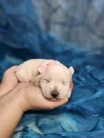 processed/d83ad53f-c046-4e80-9da9-9d81fd530b0a/listing/1c713739-3738-4d01-a981-03eac7a8debe/df609225-d36f-4460-b85f-73f06d5a4d63