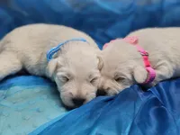 processed/d83ad53f-c046-4e80-9da9-9d81fd530b0a/listing/7f4628d0-0433-44bc-8207-9834d9d72380/e6ff7f0b-eaf0-4a1e-a55e-43bb41f7a7d5