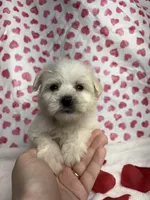 processed/d83ad53f-c046-4e80-9da9-9d81fd530b0a/listing/ceeee66d-3992-4a78-97df-feb8a344ef21/49800d23-cb8c-41b5-9c3f-34f3584b9e90