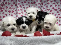 processed/d83ad53f-c046-4e80-9da9-9d81fd530b0a/listing/ceeee66d-3992-4a78-97df-feb8a344ef21/d0e1bcbe-a3d9-4947-acdb-76b6282905e5