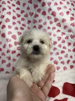 processed/d83ad53f-c046-4e80-9da9-9d81fd530b0a/listing/ceeee66d-3992-4a78-97df-feb8a344ef21/d9a6bf49-f1dd-404e-9b64-e7f5933ae723