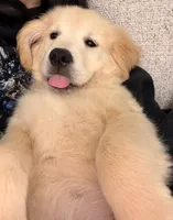 processed/d83b3d61-dd28-4fa7-bab2-d7cae8afe583/listing/3b2e81e5-b01e-4b6d-9663-5528061cb6e4/b261fccd-fba2-4def-9a09-cc017210fe0a