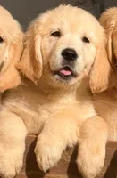 processed/d83b3d61-dd28-4fa7-bab2-d7cae8afe583/listing/3b2e81e5-b01e-4b6d-9663-5528061cb6e4/edb11694-7bdd-4d11-8307-b75681867490