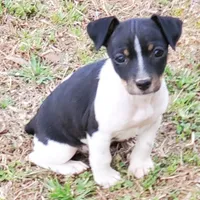 processed/d83f86dd-1b3b-458e-9265-239b96c2f2f6/facility/02e4a014-b4c7-4f16-845e-95ddbacf056d