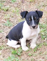 processed/d83f86dd-1b3b-458e-9265-239b96c2f2f6/facility/02e4a014-b4c7-4f16-845e-95ddbacf056d