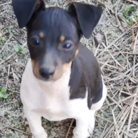 processed/d83f86dd-1b3b-458e-9265-239b96c2f2f6/facility/14ca1954-f61d-4faf-92fc-d5c174900478