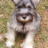 processed/d83f86dd-1b3b-458e-9265-239b96c2f2f6/facility/1c03c309-717d-4a53-acbf-21a48efae1b9