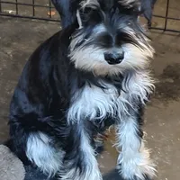 processed/d83f86dd-1b3b-458e-9265-239b96c2f2f6/facility/2b26a1d7-225f-4d36-9a61-42b1e86e2071