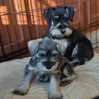 processed/d83f86dd-1b3b-458e-9265-239b96c2f2f6/facility/8357a75d-1f7e-4b3c-9331-47451a2ffc26