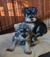 processed/d83f86dd-1b3b-458e-9265-239b96c2f2f6/facility/8357a75d-1f7e-4b3c-9331-47451a2ffc26