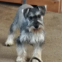 processed/d83f86dd-1b3b-458e-9265-239b96c2f2f6/facility/84bbcbf4-1e45-4921-9eda-ce8f949baaca