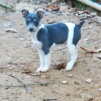 processed/d83f86dd-1b3b-458e-9265-239b96c2f2f6/facility/d873e12a-c47b-4c81-9cac-77dfff167498