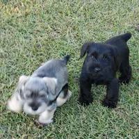 processed/d83f86dd-1b3b-458e-9265-239b96c2f2f6/facility/e03277b4-00c1-4b83-94cf-eede09aba8d8