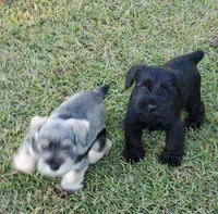 processed/d83f86dd-1b3b-458e-9265-239b96c2f2f6/facility/e03277b4-00c1-4b83-94cf-eede09aba8d8