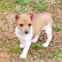 processed/d83f86dd-1b3b-458e-9265-239b96c2f2f6/facility/edaa87c2-5532-4a5a-af56-22bccd05a356