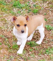 processed/d83f86dd-1b3b-458e-9265-239b96c2f2f6/facility/edaa87c2-5532-4a5a-af56-22bccd05a356