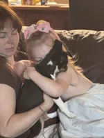 Jenny, a female Rat Terrier for sale in Middlesex, NC – Photo 3 of 4