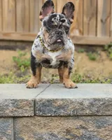 processed/d84b8157-dcae-45ef-a95d-8b1ef994ade2/facility/2fc9c8d7-d5db-43c9-ad1d-a83dbb12f857