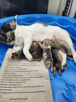 processed/d84b8157-dcae-45ef-a95d-8b1ef994ade2/facility/7736b080-f6d5-4ab3-8777-5f412fecd3bb