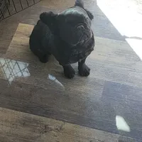 processed/d84b8157-dcae-45ef-a95d-8b1ef994ade2/facility/7cc0fb42-f4c7-476e-8027-b957d7eeffe3