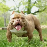 processed/d84b8157-dcae-45ef-a95d-8b1ef994ade2/facility/7cf853a1-8fc9-4e43-8a26-71dd4253df9e