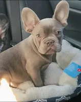 processed/d84b8157-dcae-45ef-a95d-8b1ef994ade2/facility/d0103153-eeb1-4599-837f-003e488d7b56