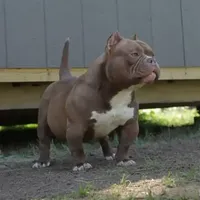 processed/d84b8157-dcae-45ef-a95d-8b1ef994ade2/facility/d185c66c-5c7f-4a3b-a945-9f5d2ab776e4