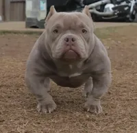 processed/d84b8157-dcae-45ef-a95d-8b1ef994ade2/facility/d2b525ef-19e9-445c-b3ab-1bd86bc772cf