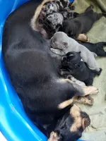 processed/d84b8157-dcae-45ef-a95d-8b1ef994ade2/facility/d2feae0d-fec2-4c38-be37-172c90bdc299