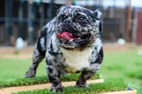 processed/d84b8157-dcae-45ef-a95d-8b1ef994ade2/facility/ed25559d-6810-49b1-aaf1-7e5c885faa13