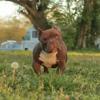 processed/d84b8157-dcae-45ef-a95d-8b1ef994ade2/facility/fcef95c0-0123-4d53-b3ff-4be1b633ec71