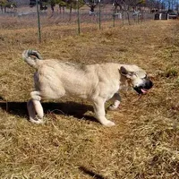 processed/d84e202c-e884-4039-9df9-750e26392802/listing/028c2027-38ed-4a6b-bdfb-e8ba2c9372b1/3665ae0b-bd90-4220-b3b2-362a0c3001f9