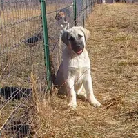 processed/d84e202c-e884-4039-9df9-750e26392802/listing/028c2027-38ed-4a6b-bdfb-e8ba2c9372b1/79d4708b-e2e6-4e1a-9911-06bf79fe55b6