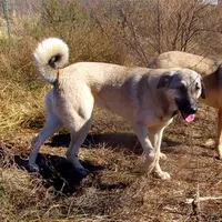 processed/d84e202c-e884-4039-9df9-750e26392802/listing/0672e7d3-cebb-4b98-84d7-d29f60f5cd56/0e61f38c-1ece-4530-bbe1-10b36ff4f8fd