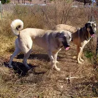 processed/d84e202c-e884-4039-9df9-750e26392802/listing/0672e7d3-cebb-4b98-84d7-d29f60f5cd56/4978ce65-3fb8-4a8a-af51-93e6b47462c9