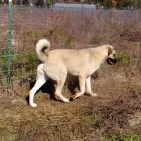 processed/d84e202c-e884-4039-9df9-750e26392802/listing/0672e7d3-cebb-4b98-84d7-d29f60f5cd56/68de4d46-6020-406a-a668-580906504a06