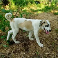 processed/d84e202c-e884-4039-9df9-750e26392802/listing/1cdcc737-9b12-42b9-bcc3-0383bb1e07cc/d96abe37-31e1-420a-8832-fa50f5bfbe83