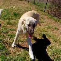 processed/d84e202c-e884-4039-9df9-750e26392802/listing/29bf9847-82e8-4fb2-9ef7-8112a4828a30/15bc593e-5938-44df-9d24-21b629cfafea