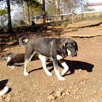 processed/d84e202c-e884-4039-9df9-750e26392802/listing/37ee5d24-ffcc-4fe9-87d4-f111d1995cde/30ab01ce-4035-464d-8db8-dcaeb16c60c4