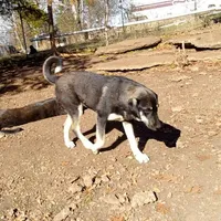 processed/d84e202c-e884-4039-9df9-750e26392802/listing/37ee5d24-ffcc-4fe9-87d4-f111d1995cde/45902586-4a51-4aad-a6a2-c5053708815e